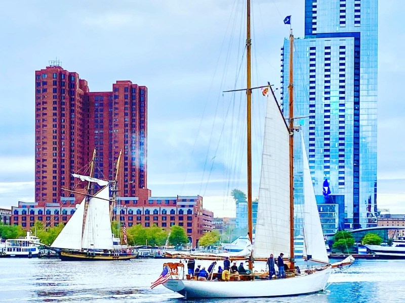 Schooners participate in the Great Chesapeake Bay Schooner Race. Photo courtesy of the Great Chesapeake Bay Schooner Race.