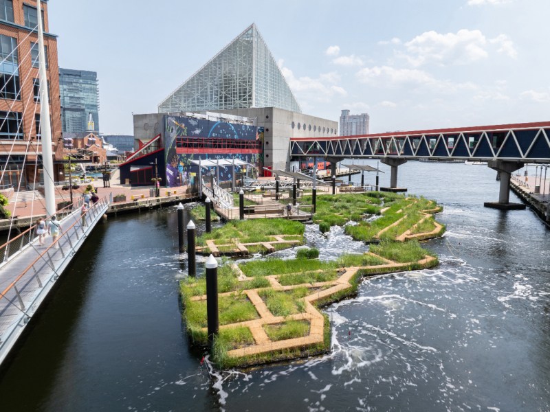 The National Aquarium on Thursday unveiled its Harbor Wetland exhibit. Credit: National Aquarium.