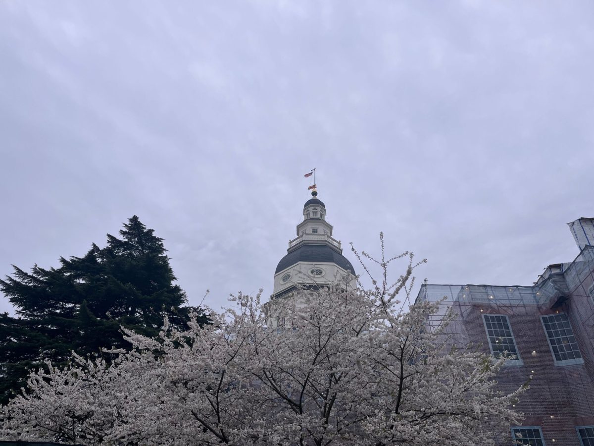 The Maryland flag flies at half-mast over the State House on Thursday, as families mourn this week’s deadly collapse of the Francis Scott Key Bridge in Baltimore. (Lydia Hurley/Capital News Service)