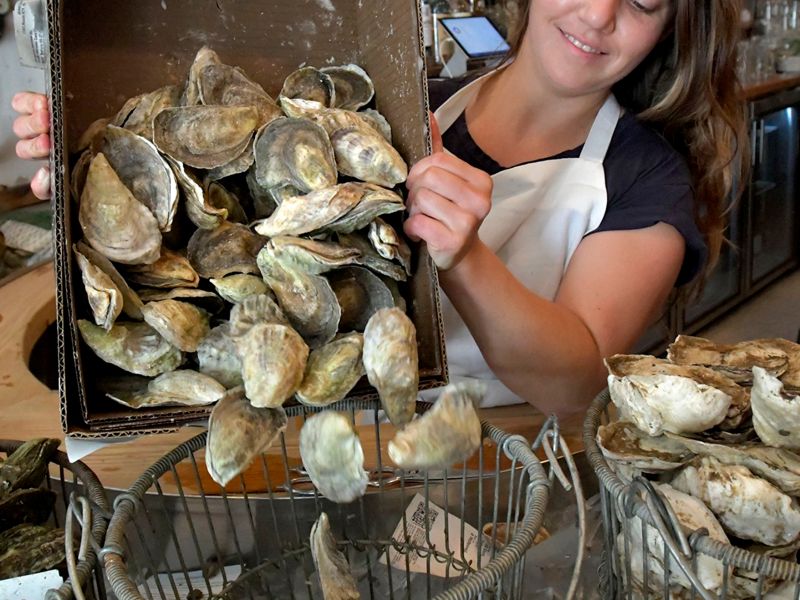 Toni Lopes dumps a box of oysters into a basket.