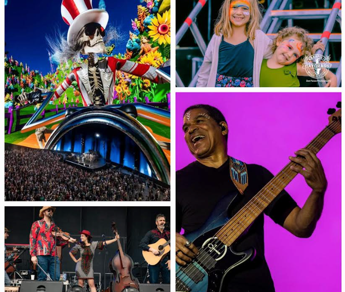 collage of photos of musicians and kids at a festival