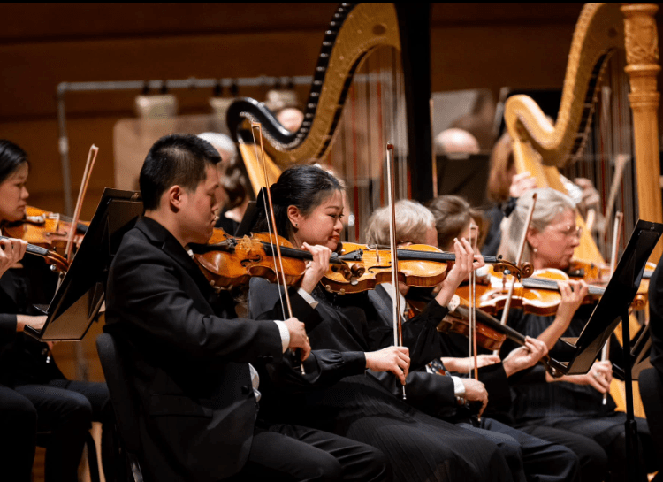 sideview of musicians playing in an orchestra, violins, harps