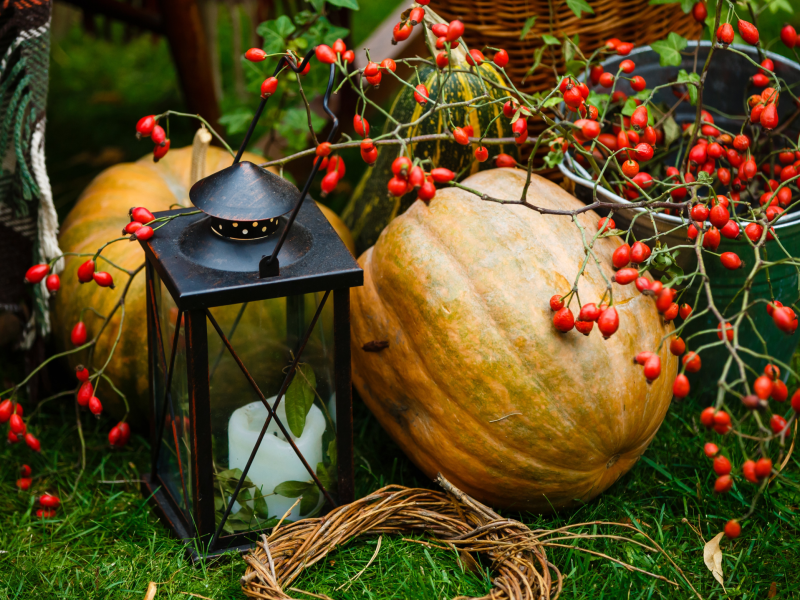 photo of pumpkins, berries, leaves, candles