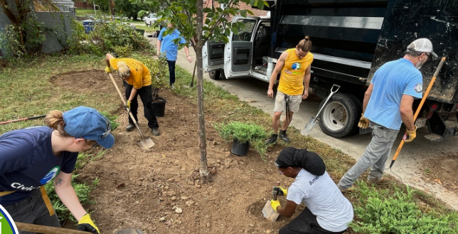 Six people working to plant a tree