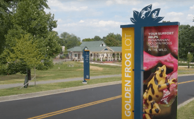 road leading to zoo on left, signage for parking lot on right