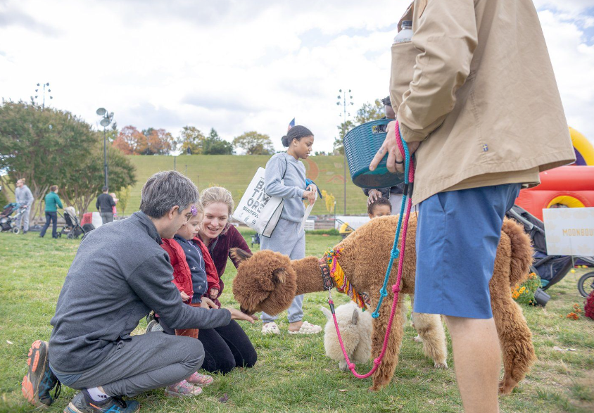 parents and small child kneeling down to pet a lamb at a petting zoo