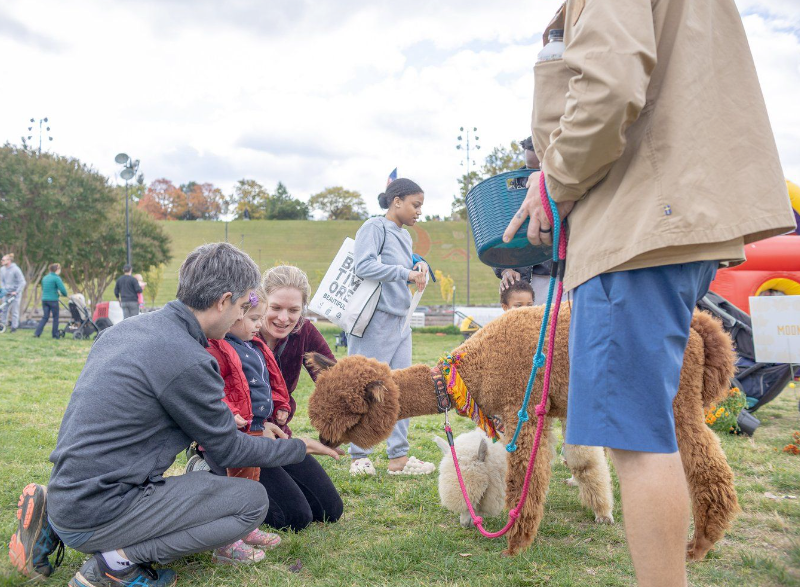 parents and small child kneeling down to pet a lamb at a petting zoo